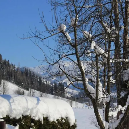 Cosy In Salzburg With Garden, Cleaning Included * Saalfelden