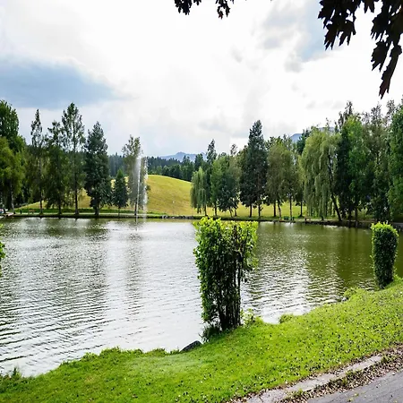 In Near Slopes, Cleaning Included Saalfelden